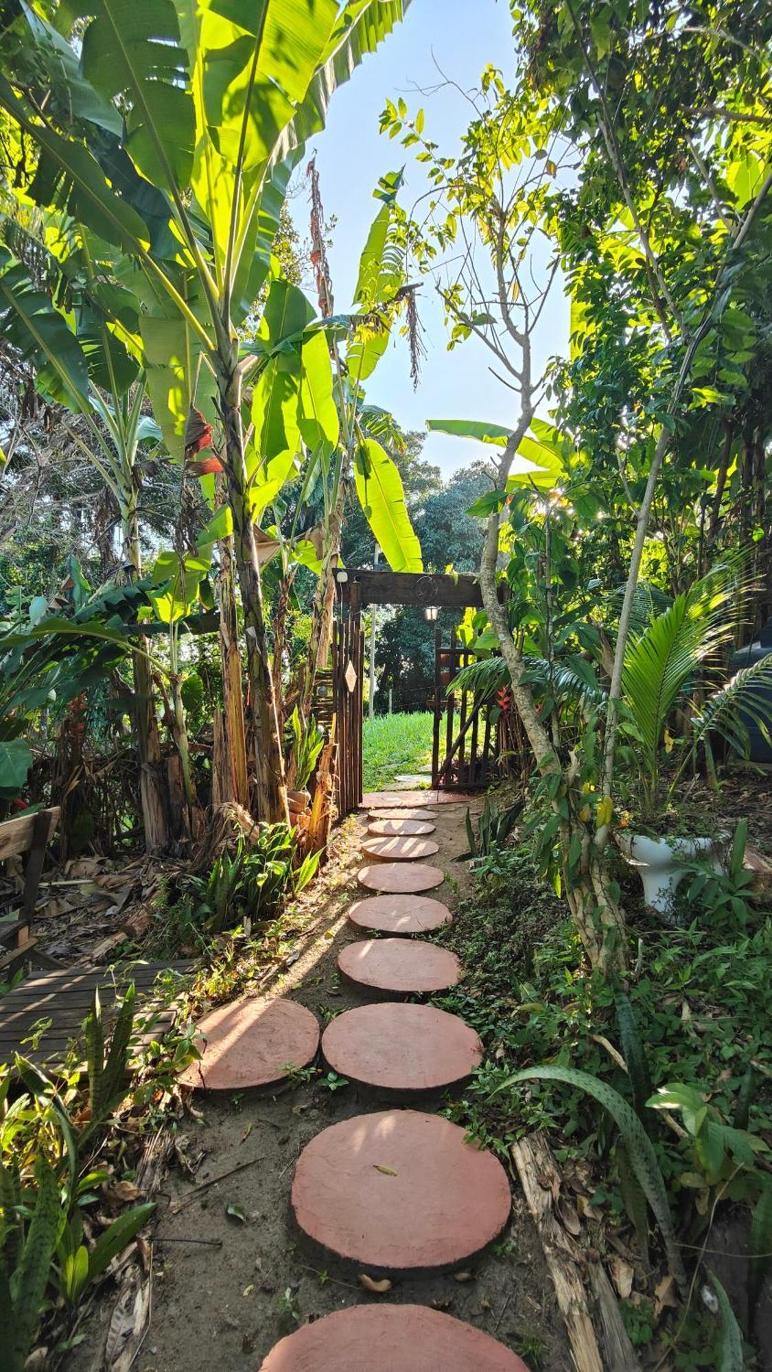 Eco Hostel Bosque Di Barro Velha Boipeba Экстерьер фото
